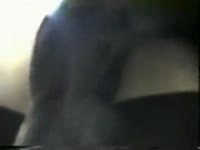 [ Beast Porn ] Guy receives his dog to pump him